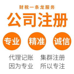 東莞虎門專業(yè)代辦服務(wù) 營(yíng)業(yè)執(zhí)照辦理與代理記賬一站式解決方案